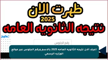 اعرف الآن نتيجة الثانوية العامة 2025 بالاسم ورقم الجلوس عبر موقع الوزارة الرسمي